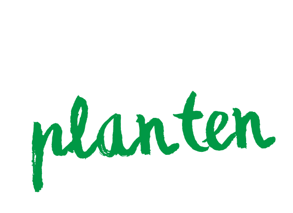 kamerplanten plantanious